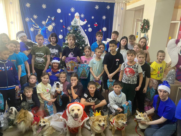 Новогодние подарки детям Новогодние подарки детям